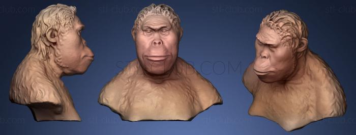3D модель Неизвестный мужчина 19 (STL)